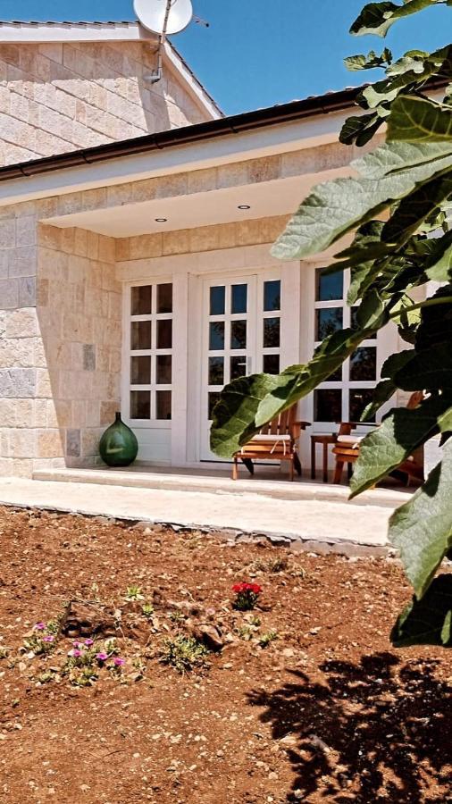 New 2023 Villa Tree Of Life Sveti Petar  Buitenkant foto